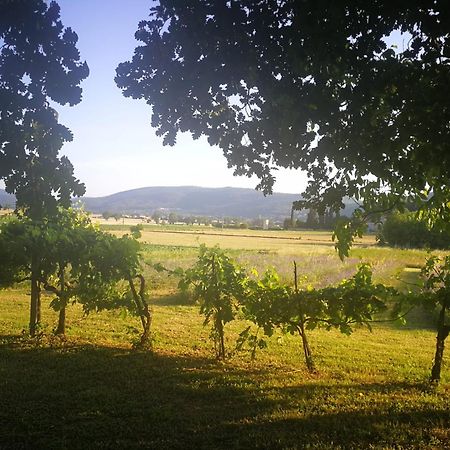 Appartamento CASALE e GIARDINO a 10 minuti da SIENA Sovicille Esterno foto