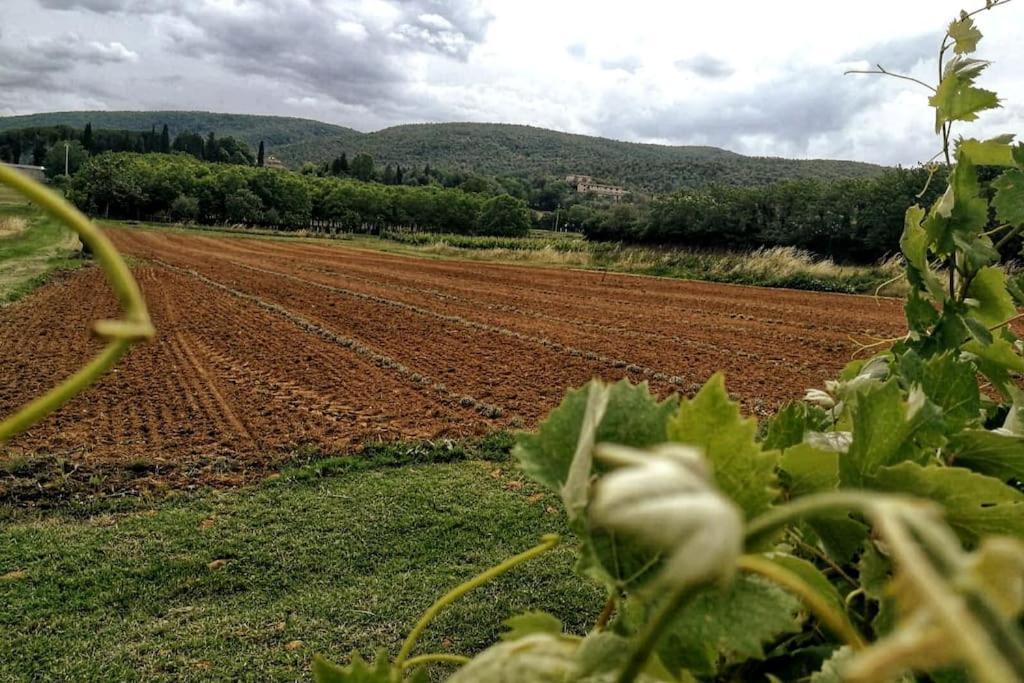 Appartamento CASALE e GIARDINO a 10 minuti da SIENA Sovicille Esterno foto