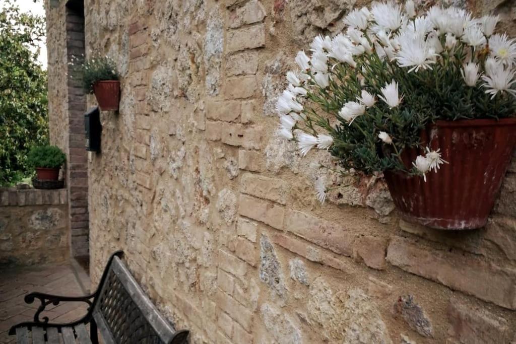 Appartamento CASALE e GIARDINO a 10 minuti da SIENA Sovicille Esterno foto
