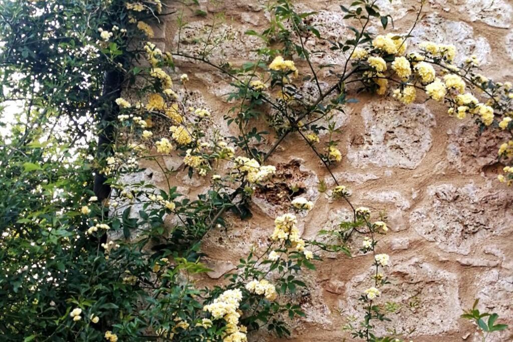 Appartamento CASALE e GIARDINO a 10 minuti da SIENA Sovicille Esterno foto