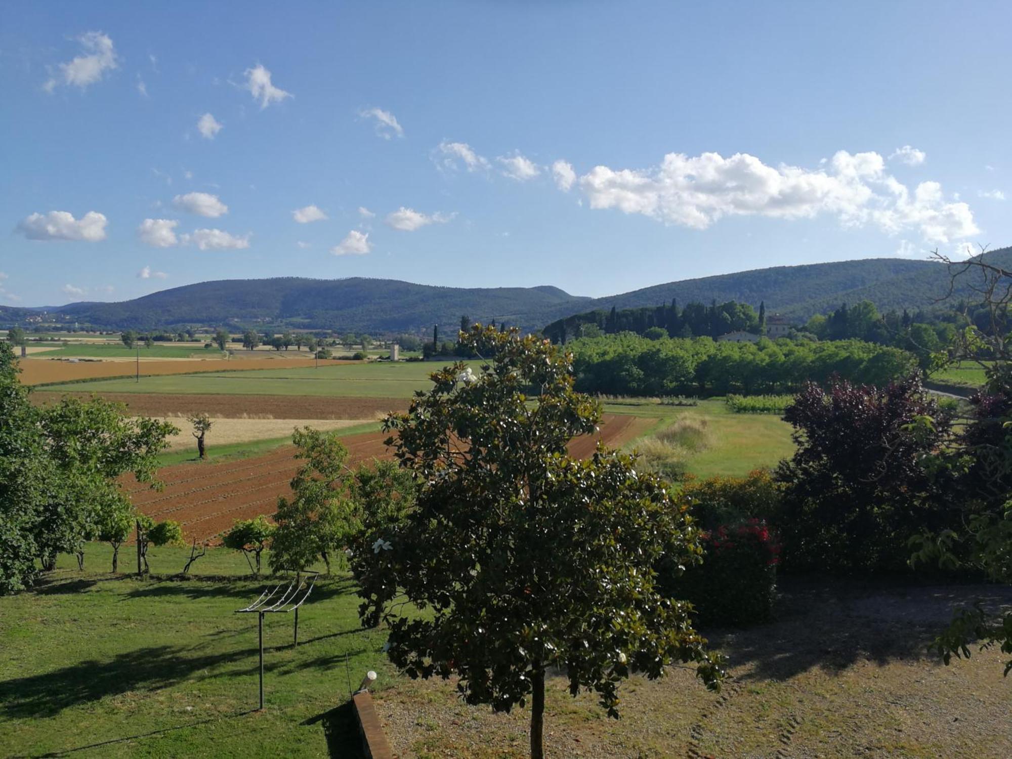 Appartamento CASALE e GIARDINO a 10 minuti da SIENA Sovicille Camera foto