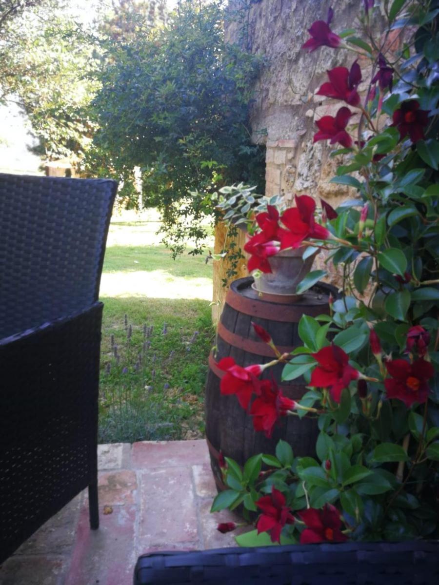 Appartamento CASALE e GIARDINO a 10 minuti da SIENA Sovicille Esterno foto