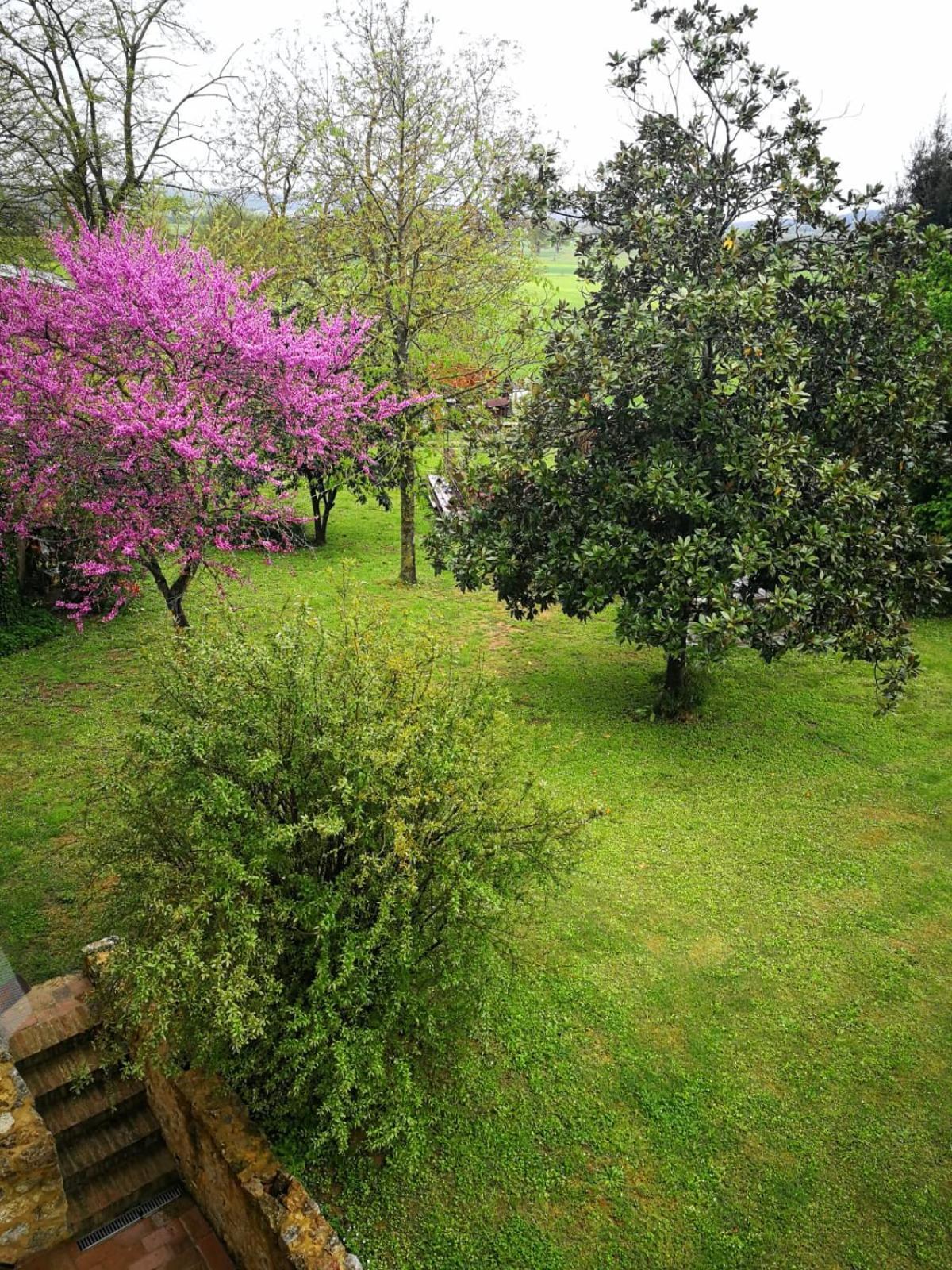 Appartamento CASALE e GIARDINO a 10 minuti da SIENA Sovicille Esterno foto