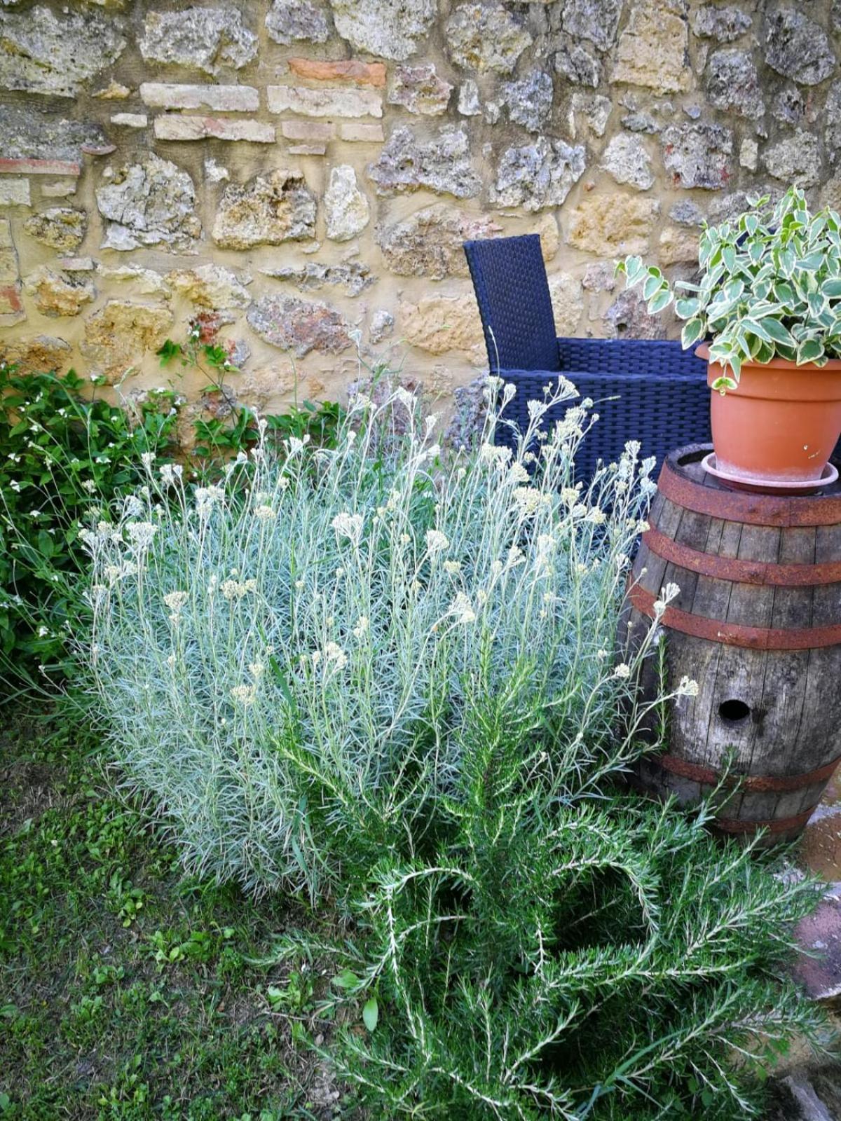 Appartamento CASALE e GIARDINO a 10 minuti da SIENA Sovicille Esterno foto