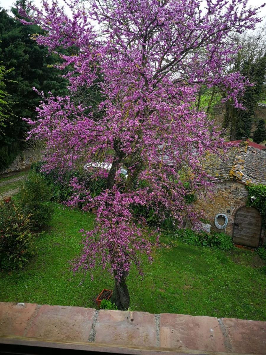 Appartamento CASALE e GIARDINO a 10 minuti da SIENA Sovicille Esterno foto