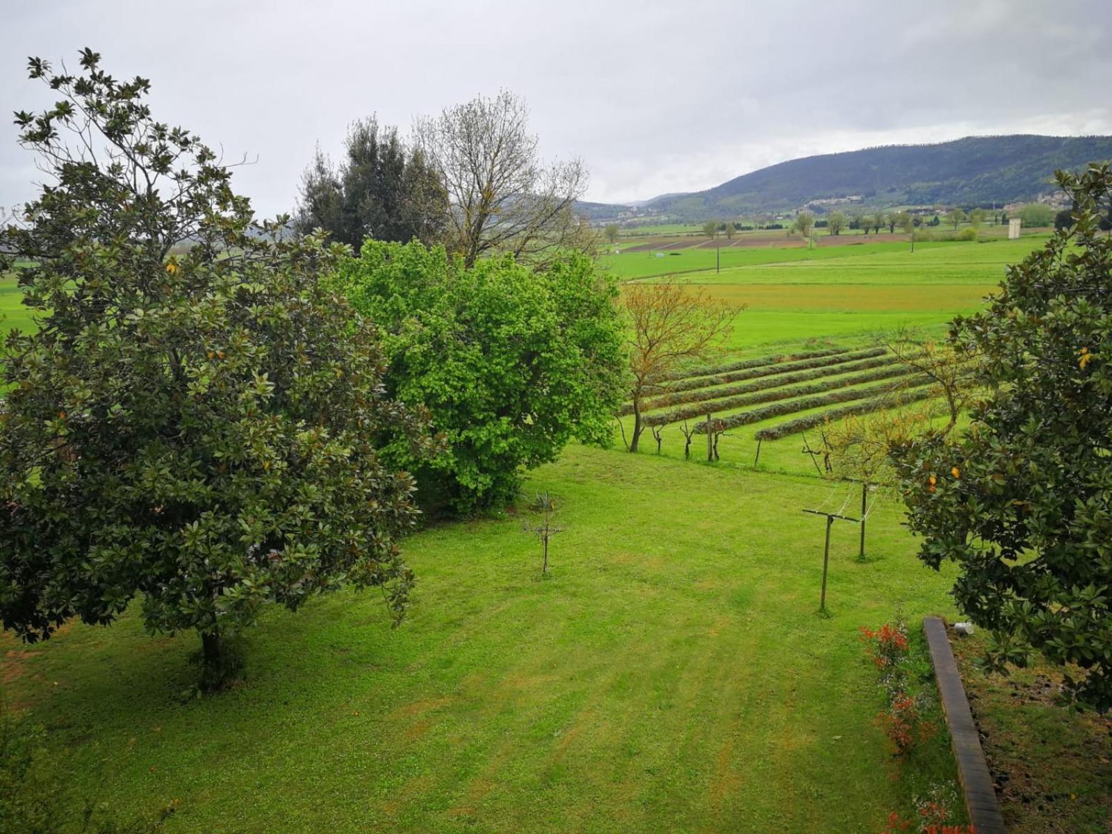Appartamento CASALE e GIARDINO a 10 minuti da SIENA Sovicille Esterno foto