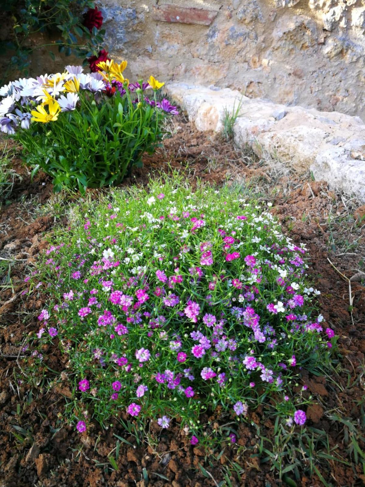 Appartamento CASALE e GIARDINO a 10 minuti da SIENA Sovicille Esterno foto