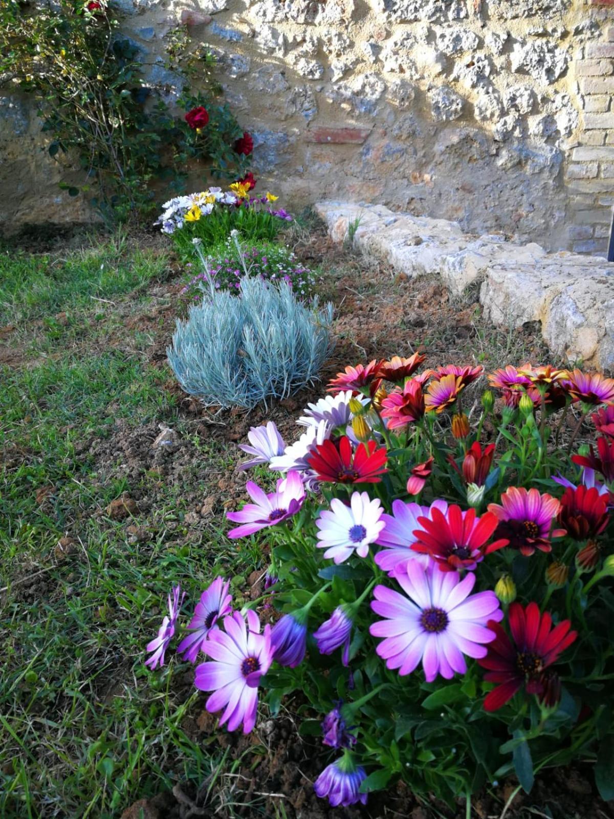 Appartamento CASALE e GIARDINO a 10 minuti da SIENA Sovicille Esterno foto