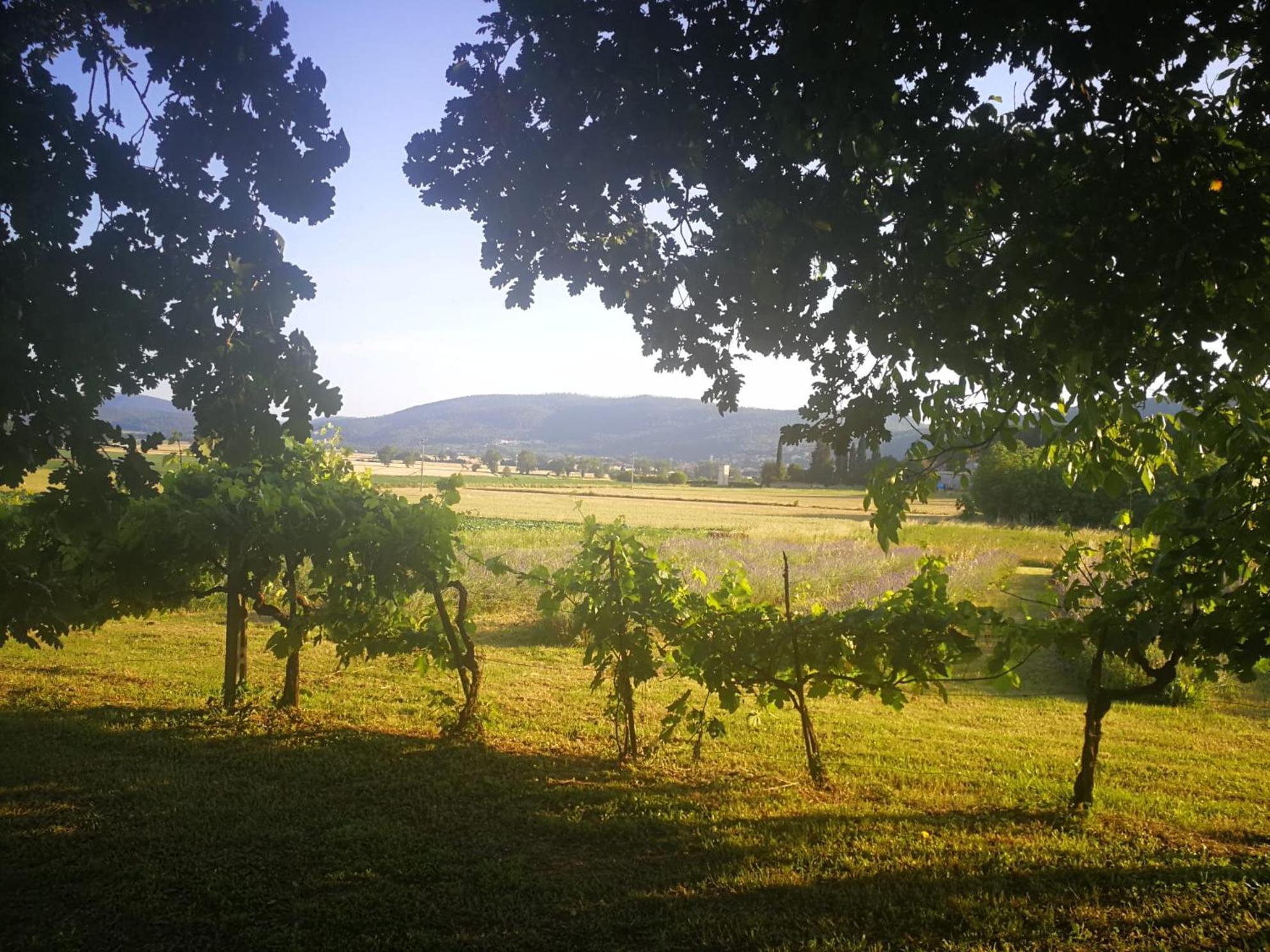 Appartamento CASALE e GIARDINO a 10 minuti da SIENA Sovicille Esterno foto